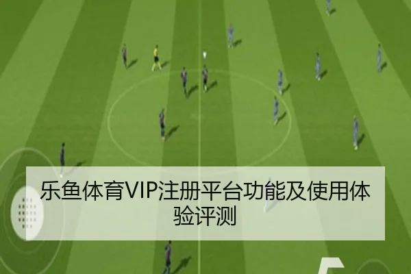 乐鱼体育VIP注册平台功能及使用体验评测