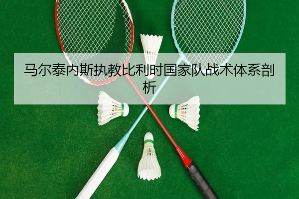 马尔泰内斯执教比利时国家队战术体系剖析